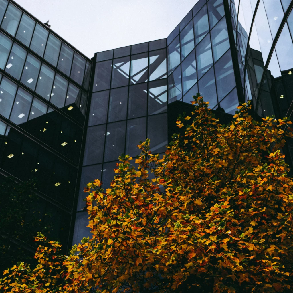 Drzewo w jesiennych barwach przed nowoczesnym, szklanym budynkiem biurowym
